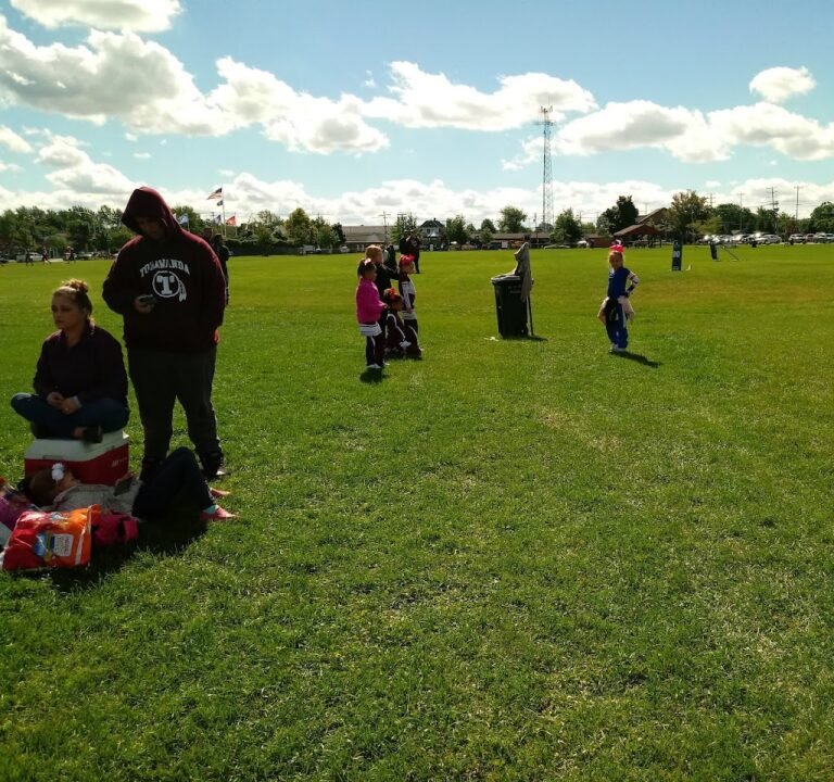 Soccer Field image 2