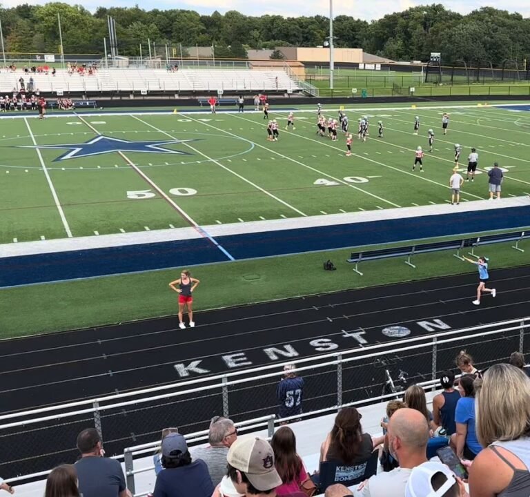 Soccer Field image 3