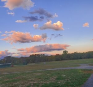 Soccer Field image 3