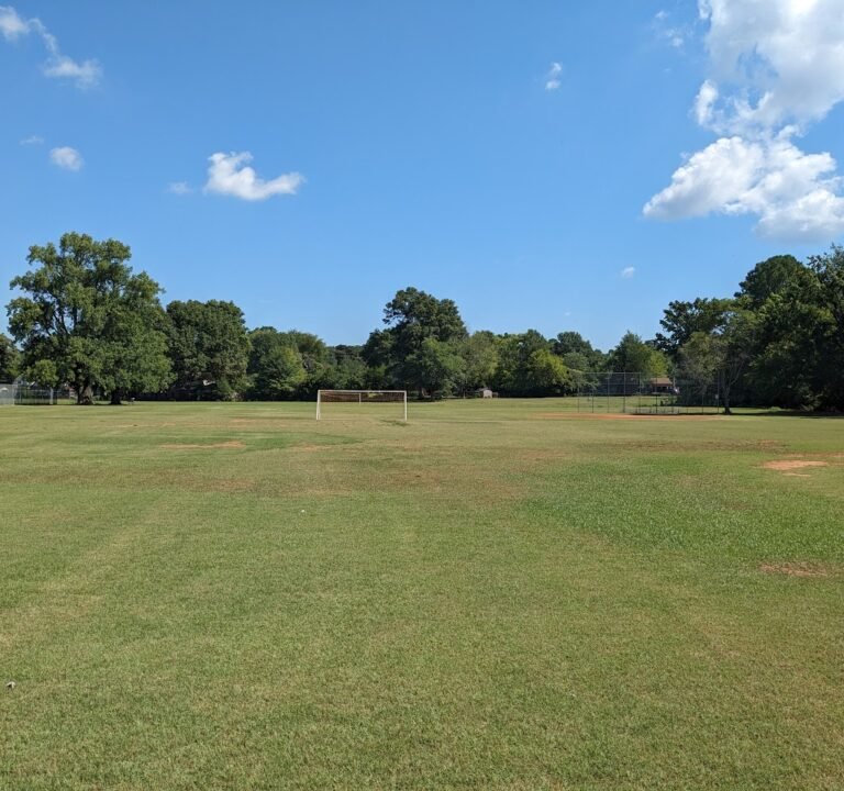 Soccer Field image 2