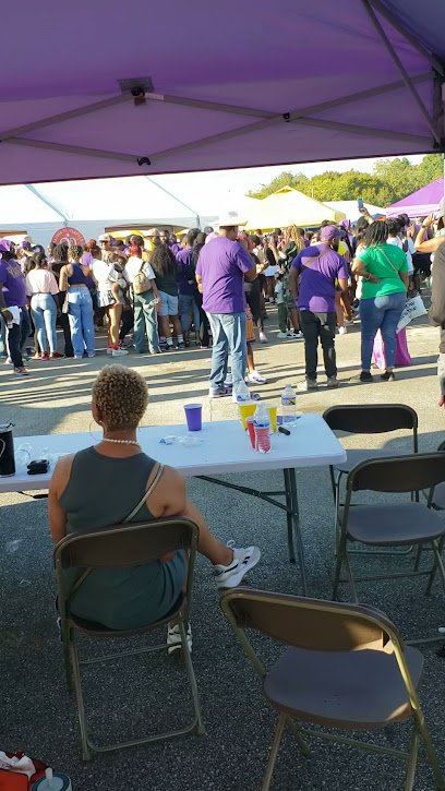 Soccer Field image 1