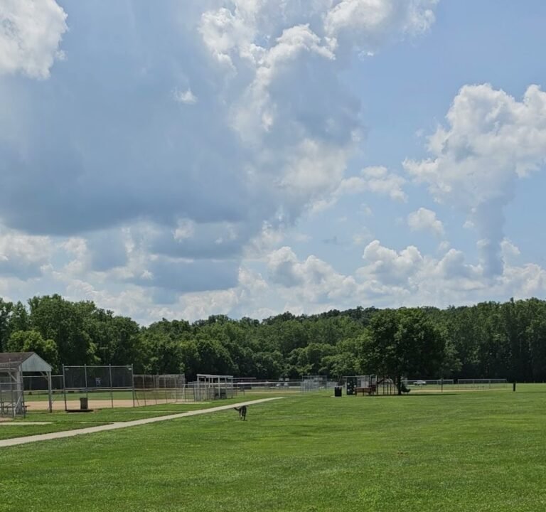 Soccer Field image 2
