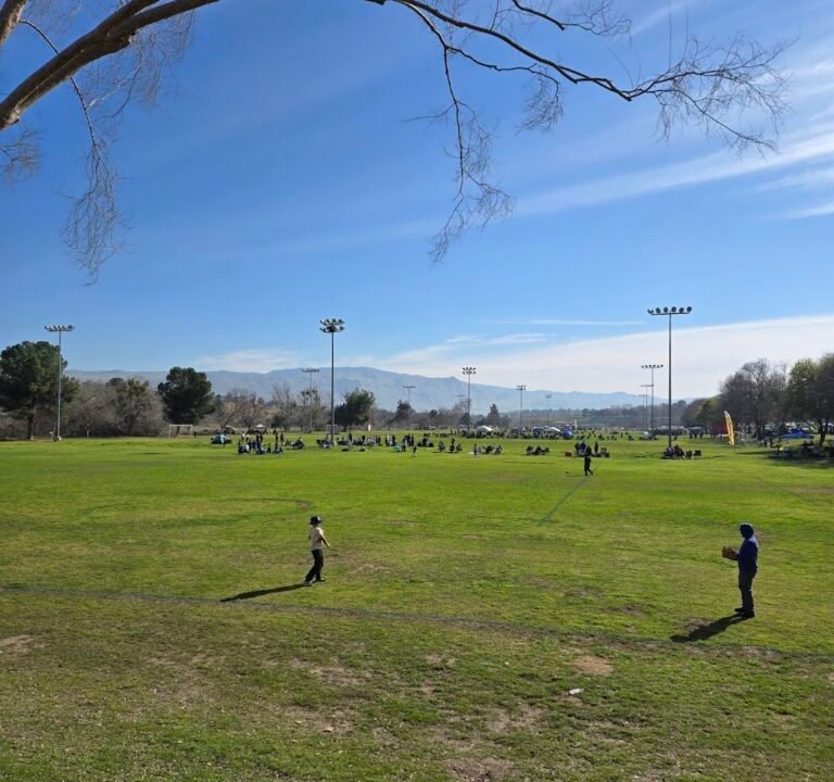 Soccer Field image 2