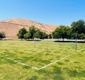 Soccer Field image 1