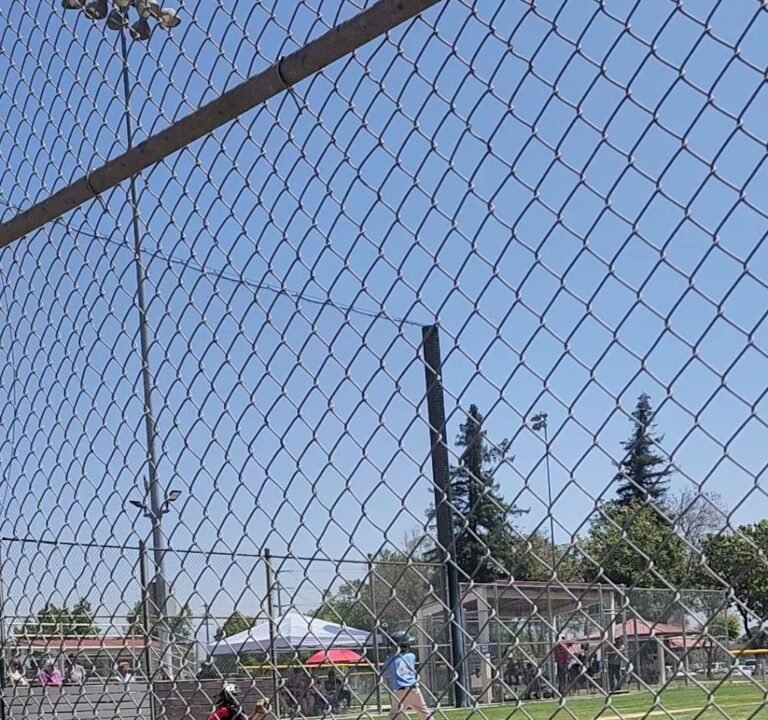 Soccer Field image 4