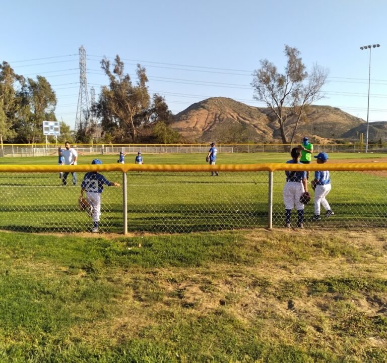 Soccer Field image 2