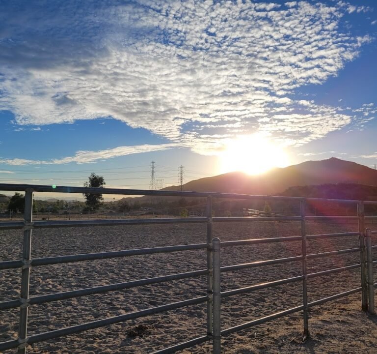 Soccer Field image 3