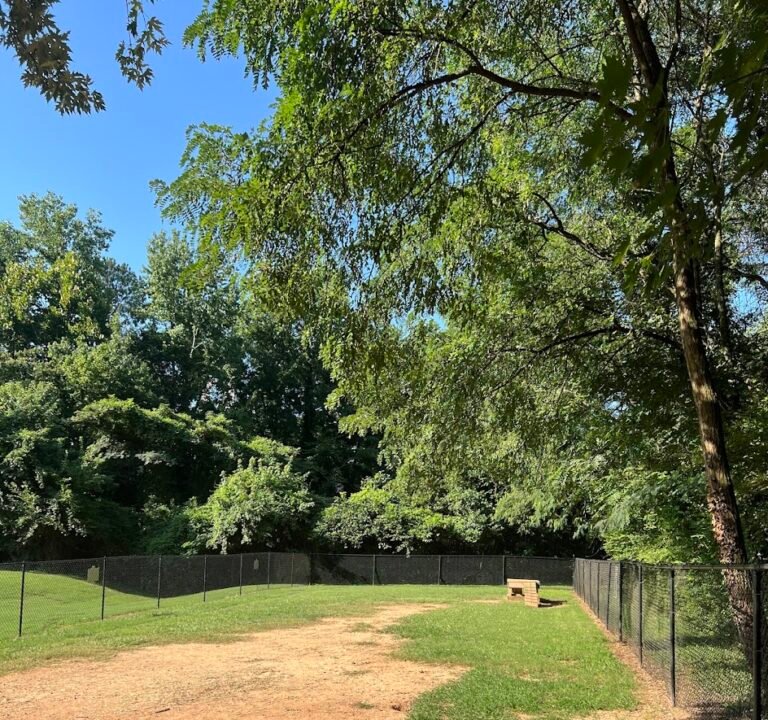 Soccer Field image 2