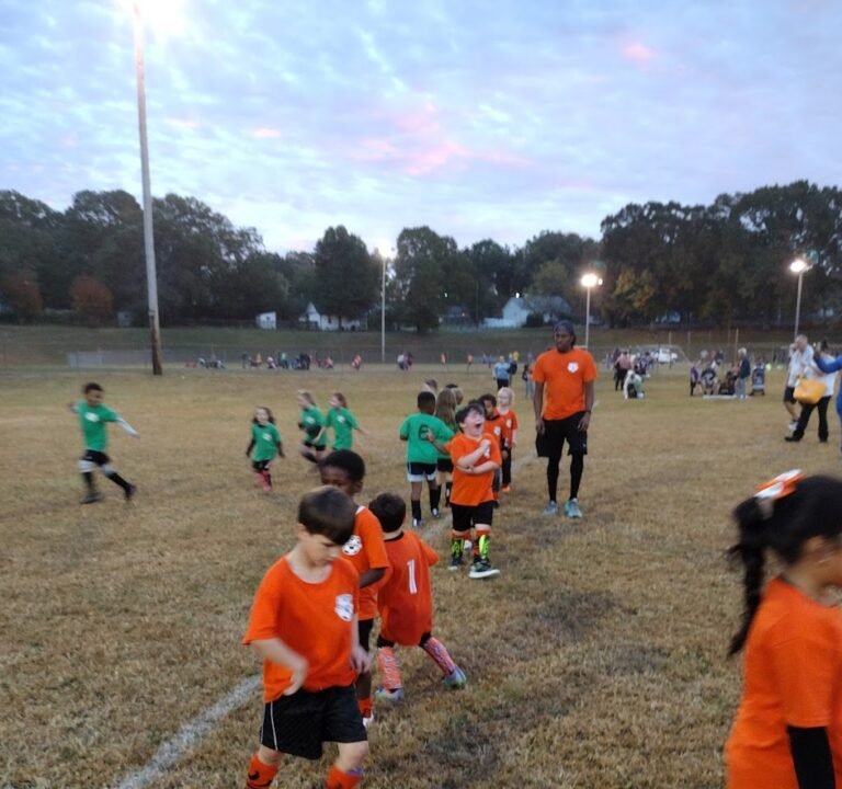 Soccer Field image 2