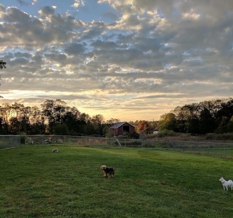 Soccer Field image 3
