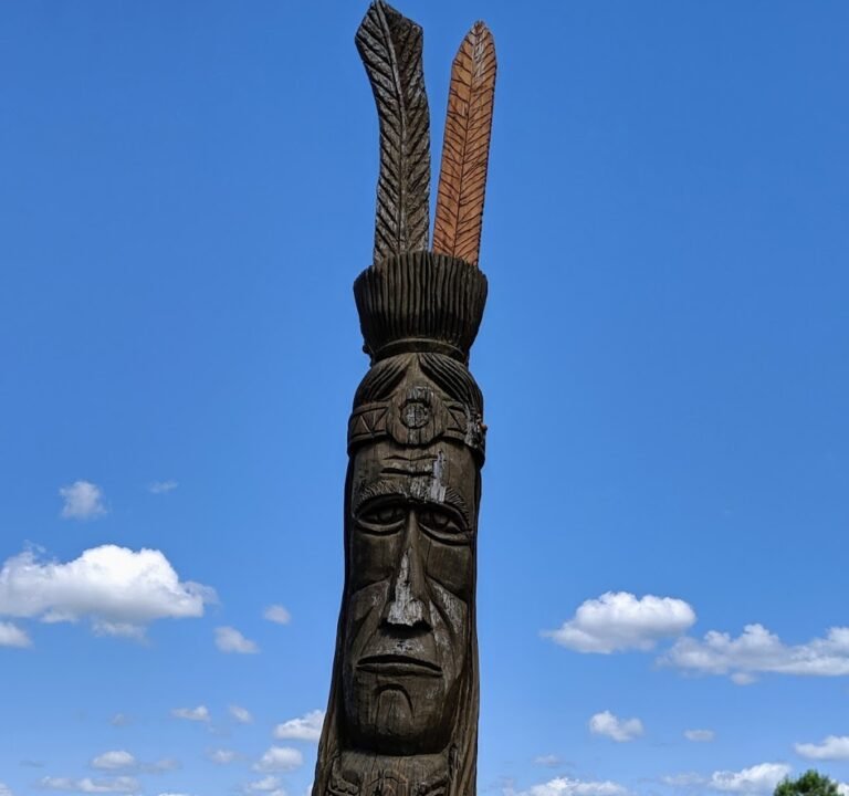 Soccer Field image 2