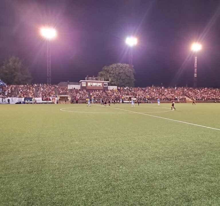 Soccer Field image 2