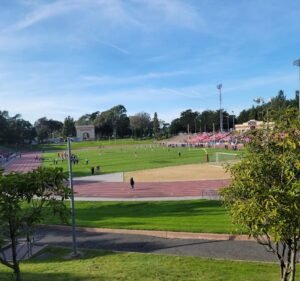 Soccer Field image 2