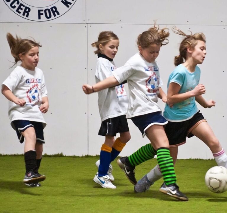 Soccer Field image 2