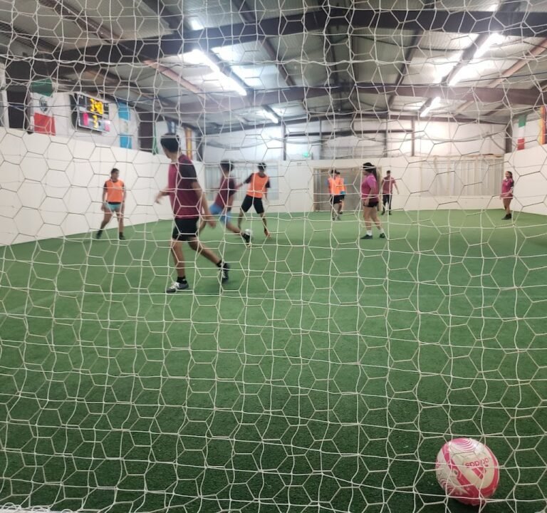 Soccer Field image 3