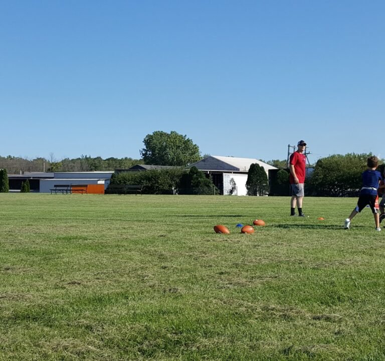 Soccer Field image 2