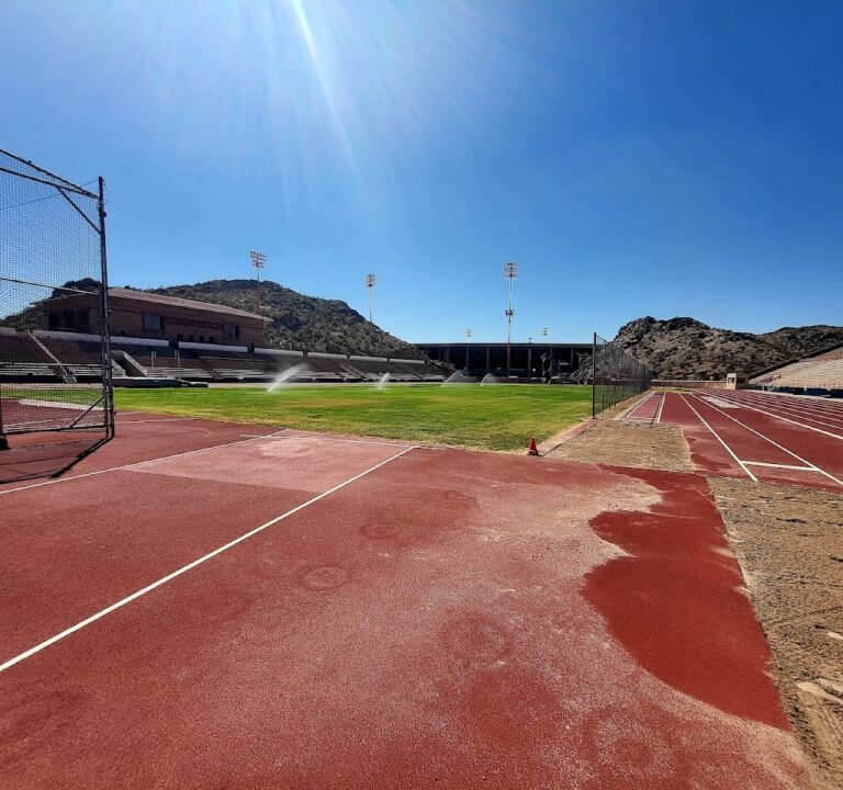 Soccer Field image 3