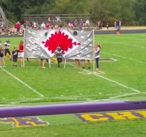 Soccer Field image 3