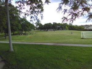 Soccer Field image 1