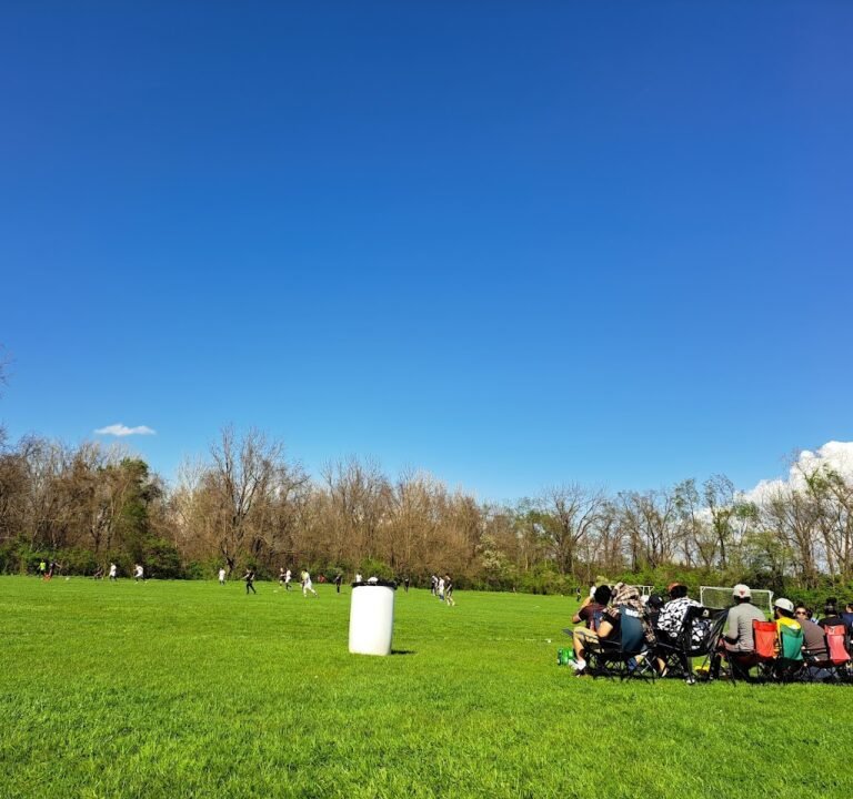Soccer Field image 2