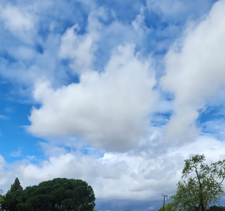 Soccer Field image 2