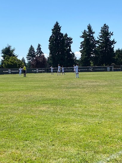 Soccer Field image 1