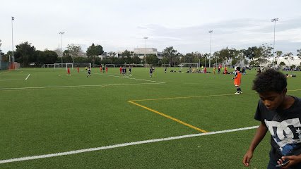 Soccer Field image 1