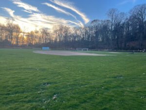 Soccer Field image 1