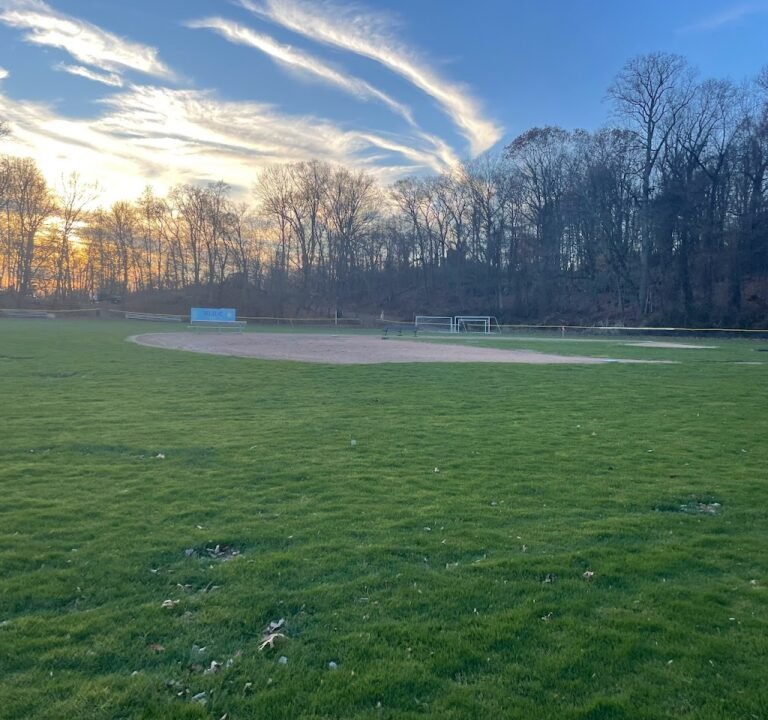 Soccer Field image 2