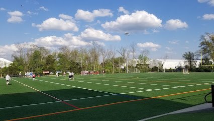 Soccer Field image 1