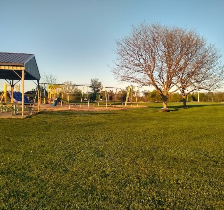 Soccer Field image 2