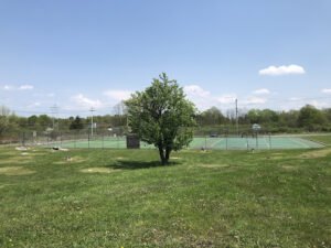 Soccer Field image 1