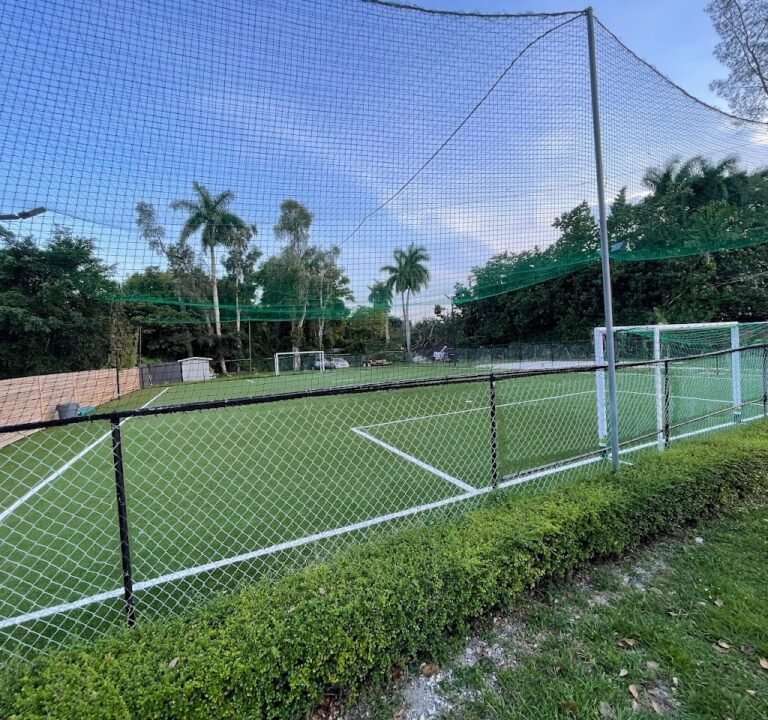 Soccer Field image 2