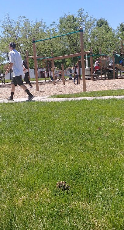 Soccer Field image 1