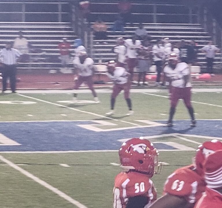 Soccer Field image 2