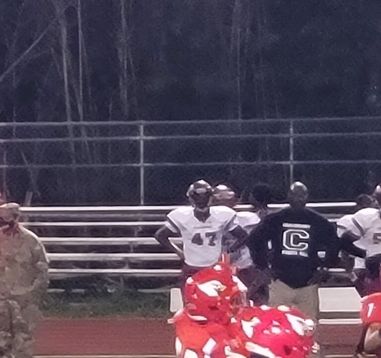 Soccer Field image 3