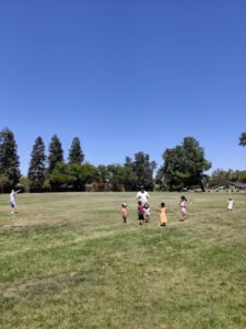 Soccer Field image 1