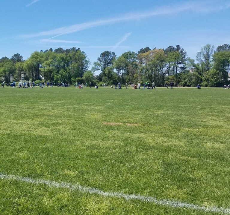 Soccer Field image 2