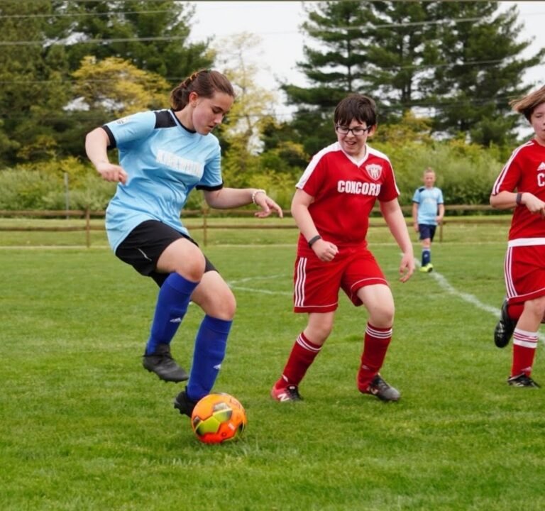 Soccer Field image 3