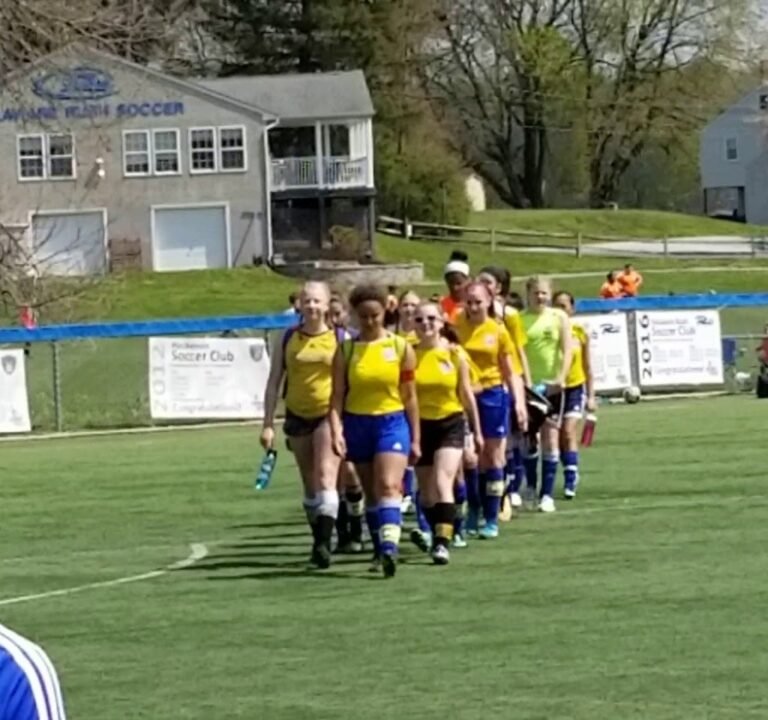 Soccer Field image 4