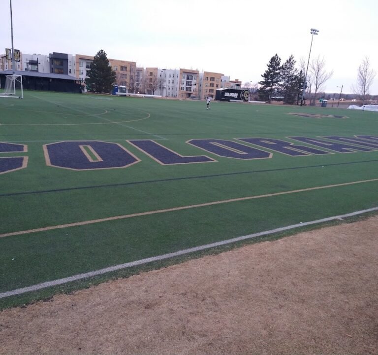 Soccer Field image 2