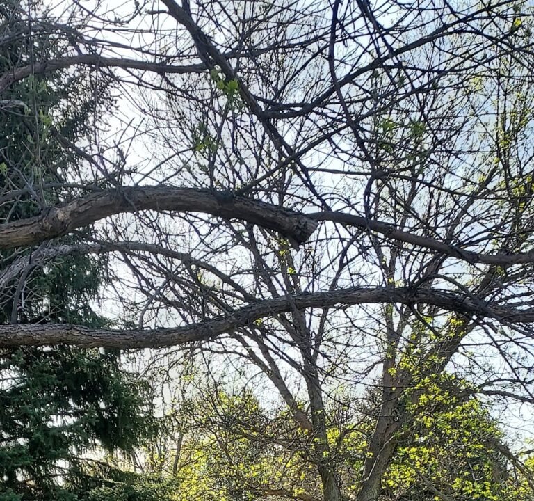 Soccer Field image 2