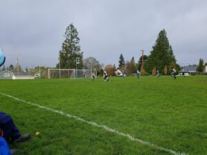 Soccer Field image 1