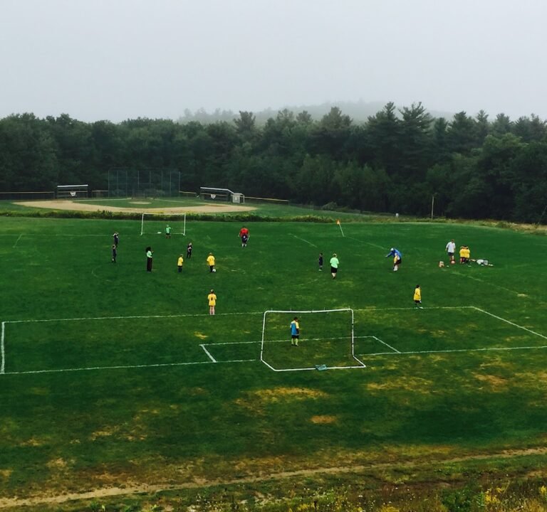 Soccer Field image 2