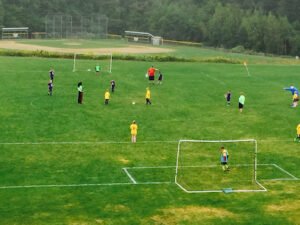 Soccer Field image 1