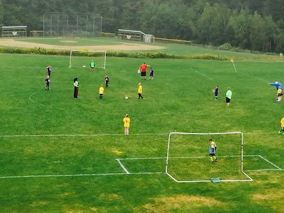 Soccer Field image 1