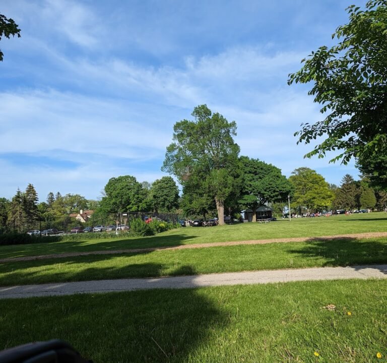 Soccer Field image 3