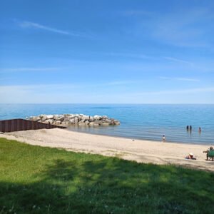 Soccer Field image 1