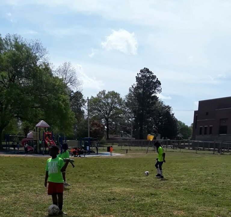 Soccer Field image 2