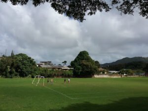 Soccer Field image 1